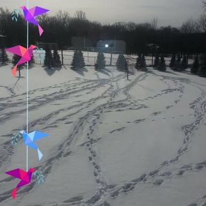 Meet your Posher, Jill